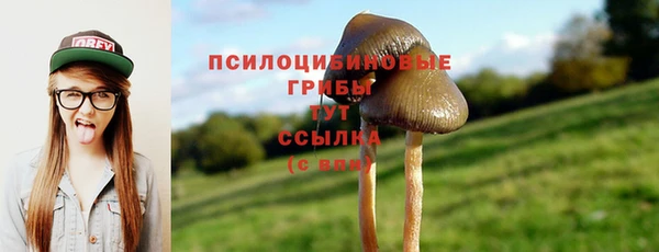 MDMA Premium VHQ Михайлов