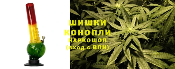 крисы Медногорск