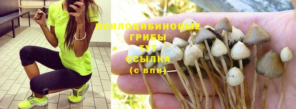 MDMA Premium VHQ Михайлов