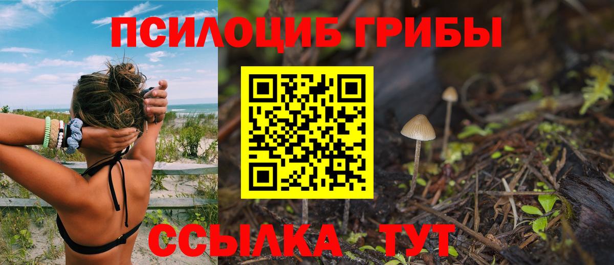 Златоуст  Галлюциногенные грибы MAGIC MUSHROOMS  продажа наркотиков  Вход с VPN 